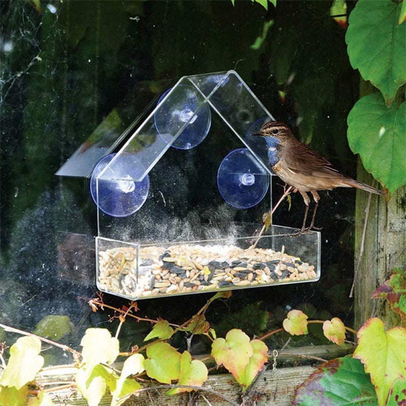 Elevate Your Bird Feeding Experience with the Acrylic Bird Food Bowl