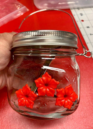 Transform Your Garden with Our Hummingbird Feeder