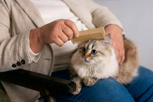 The Secret to a Shiny Coat: Why Grooming Tools Matter