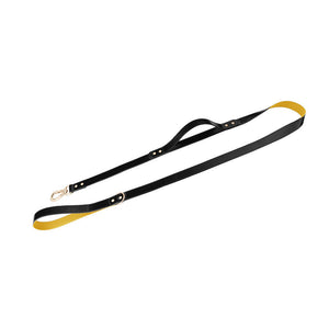 Why Your Pet Needs the Best Chest Strap to Stay Safe and Secure