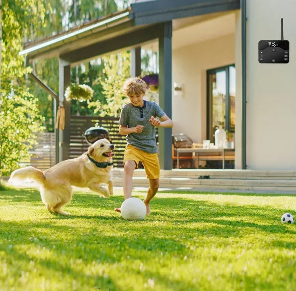 Wireless Waterproof Dog Fence Electric Shock Training Collar for All Dogs