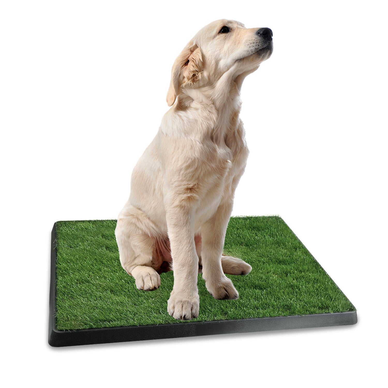 Artificial Grass Dog Potty Training Mat Indoor & Outdoor Puppy Tray