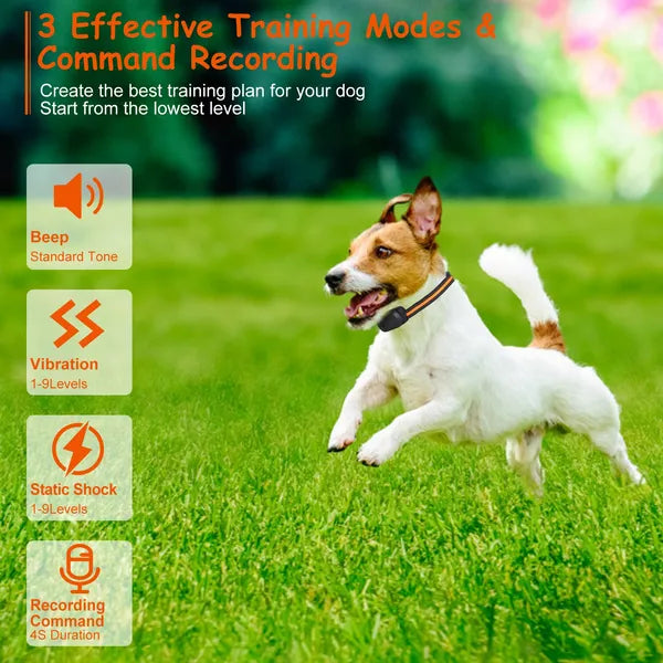984ft Waterproof Dog Training Collar Beep, Vibration & Shock, 3-Channel Rechargeable