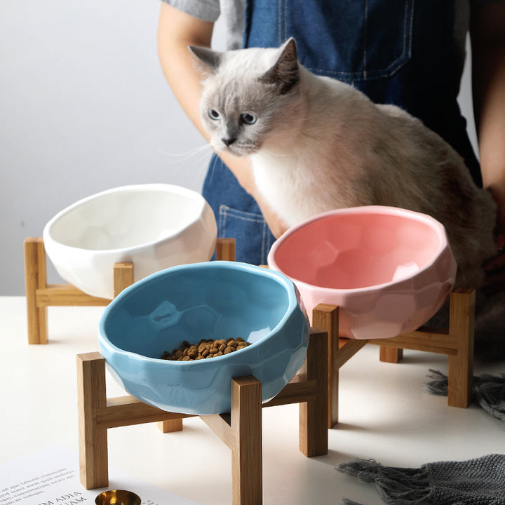 Oblique Pet Food Bowl for Cats and Dogs