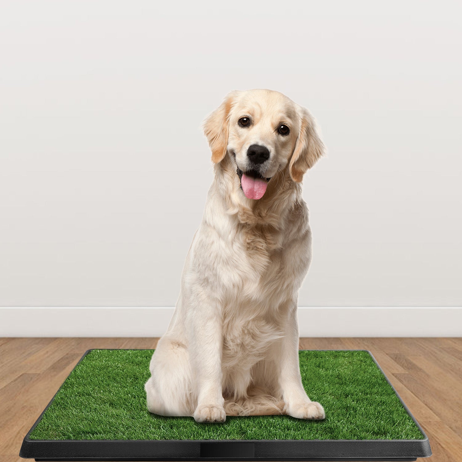 Artificial Grass Dog Potty Training Mat Indoor & Outdoor Puppy Tray