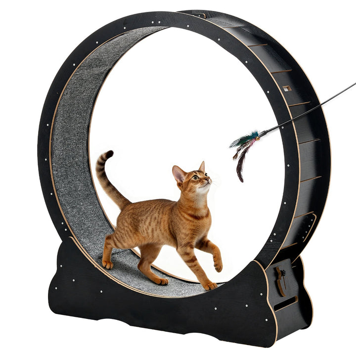 48" Wooden Cat Exercise Wheel Indoor Treadmill for Cats up to 28 lbs
