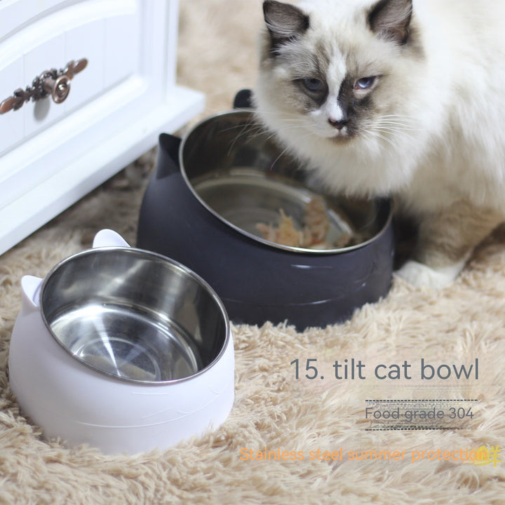Stainless Steel Double Dog Bowl with Tilted Design for Pets