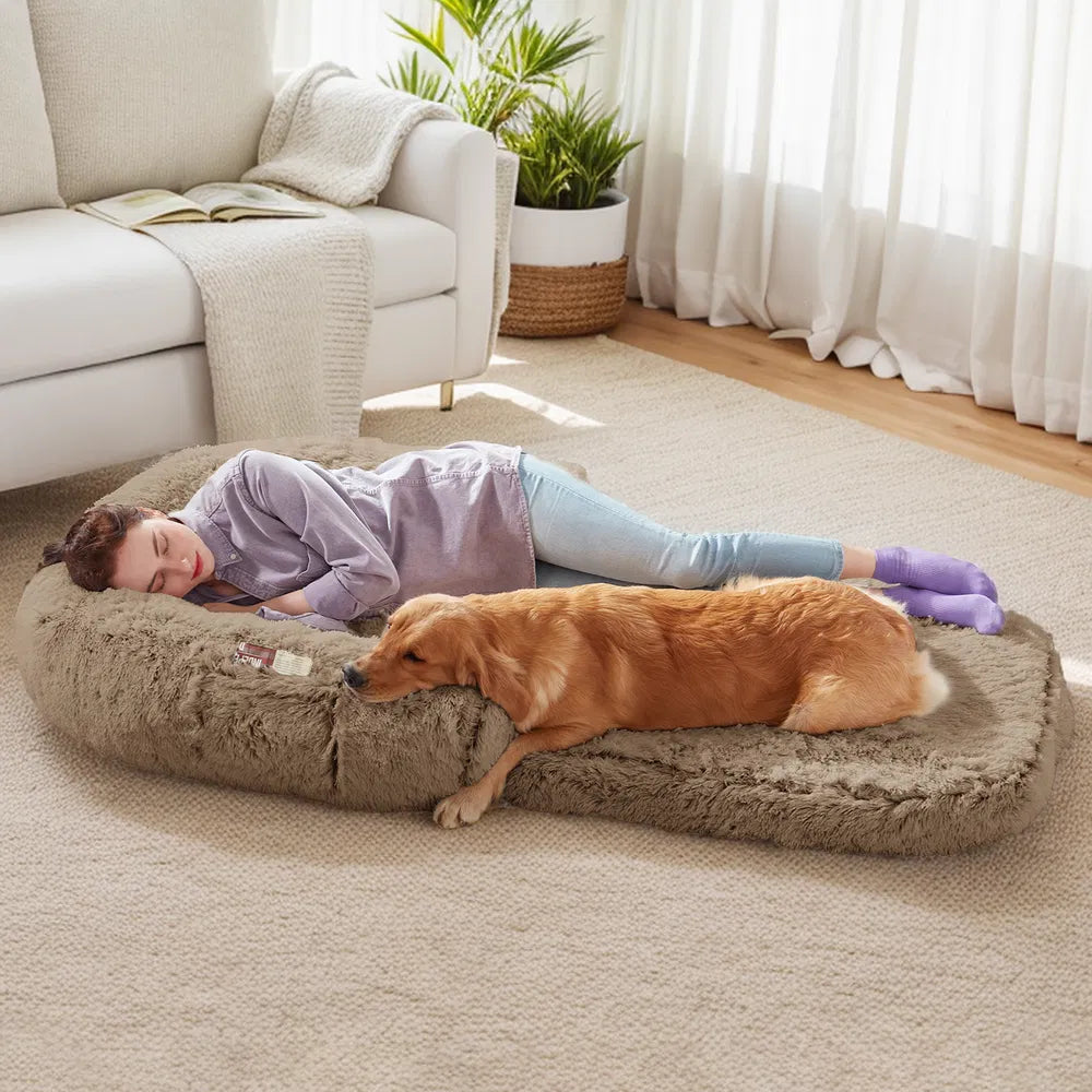 71" Human Dog Bed Foldable Plush Orthopedic Bed for People & Pets