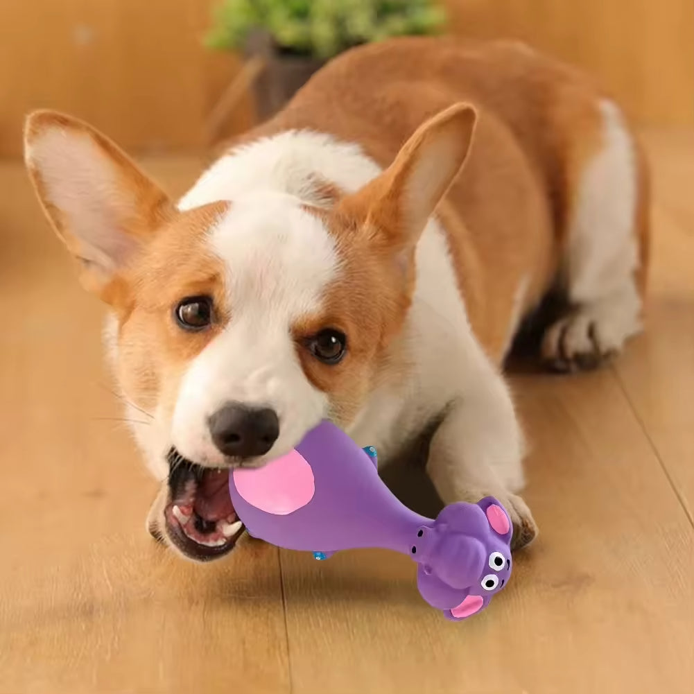 4-Pack Latex Dog Chew Toys Interactive Dental & Teething Toys