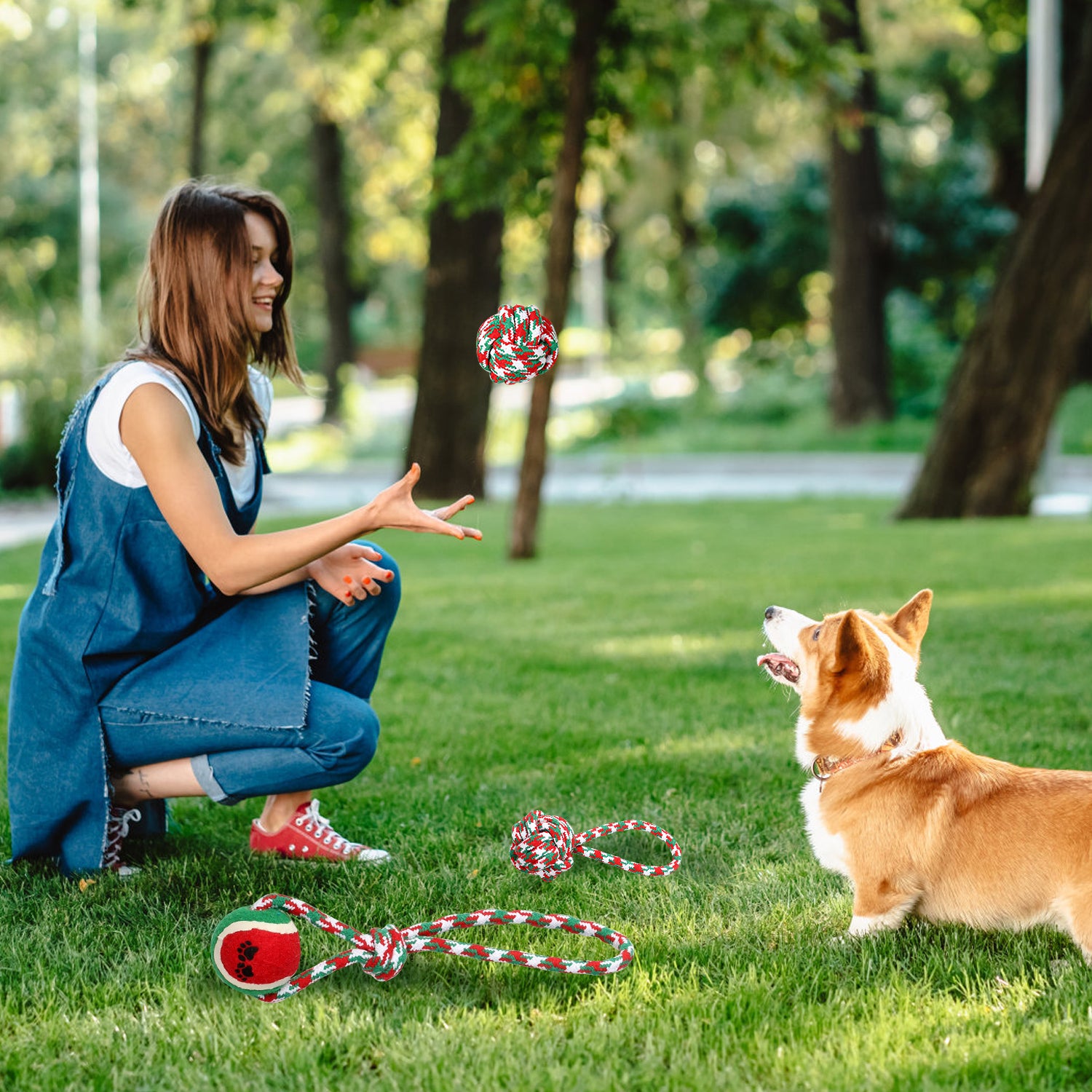 5-Piece Christmas Dog Rope Chew Toy Set Interactive Training & Teething
