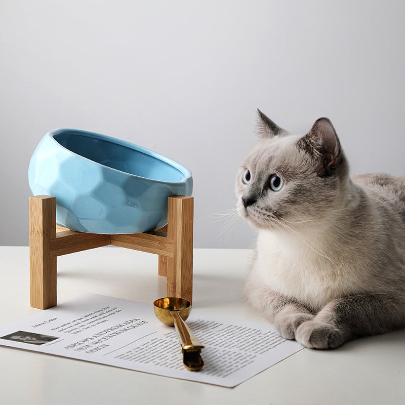 Oblique Pet Food Bowl for Cats and Dogs