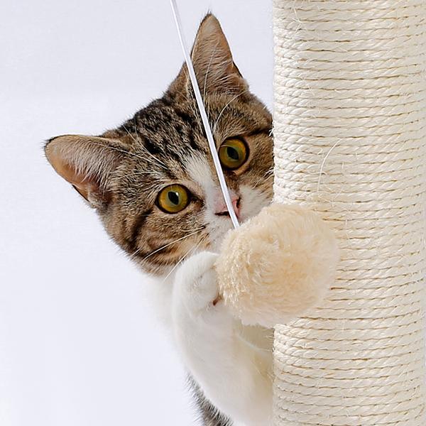 Indoor Cat Scratching Board with Interactive Ball Track Toy
