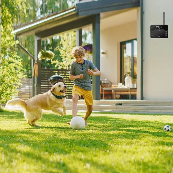 Wireless Waterproof Electric Dog Fence & Training Collar System