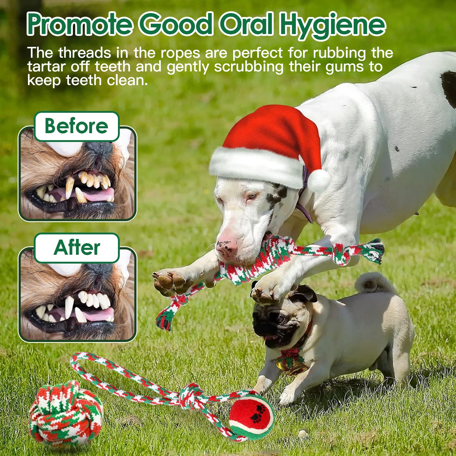 5-Piece Christmas Dog Rope Chew Toy Set Interactive Training & Teething