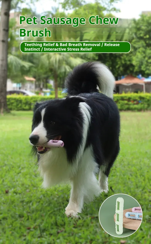 Dog Chew Toy for Teeth Cleaning Sausage Brush & Chew Buddy