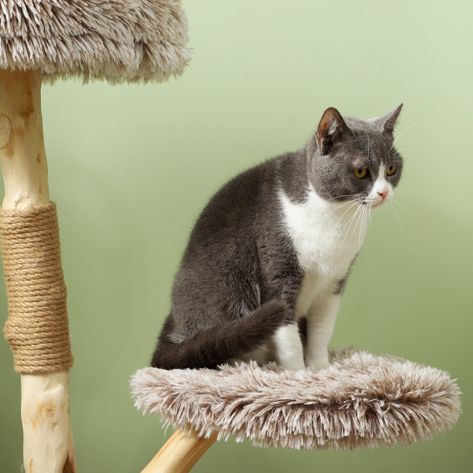35" Modern Indoor Cat Tree Wooden Scratching Posts, Bed & Rope Toy