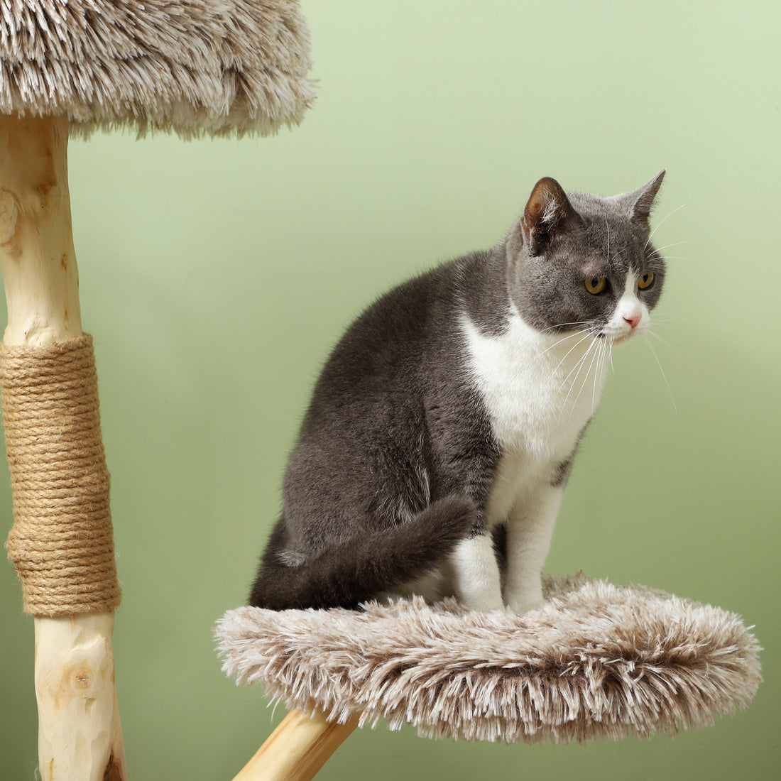 35" Modern Indoor Cat Tree Wooden Scratching Posts, Bed & Rope Toy