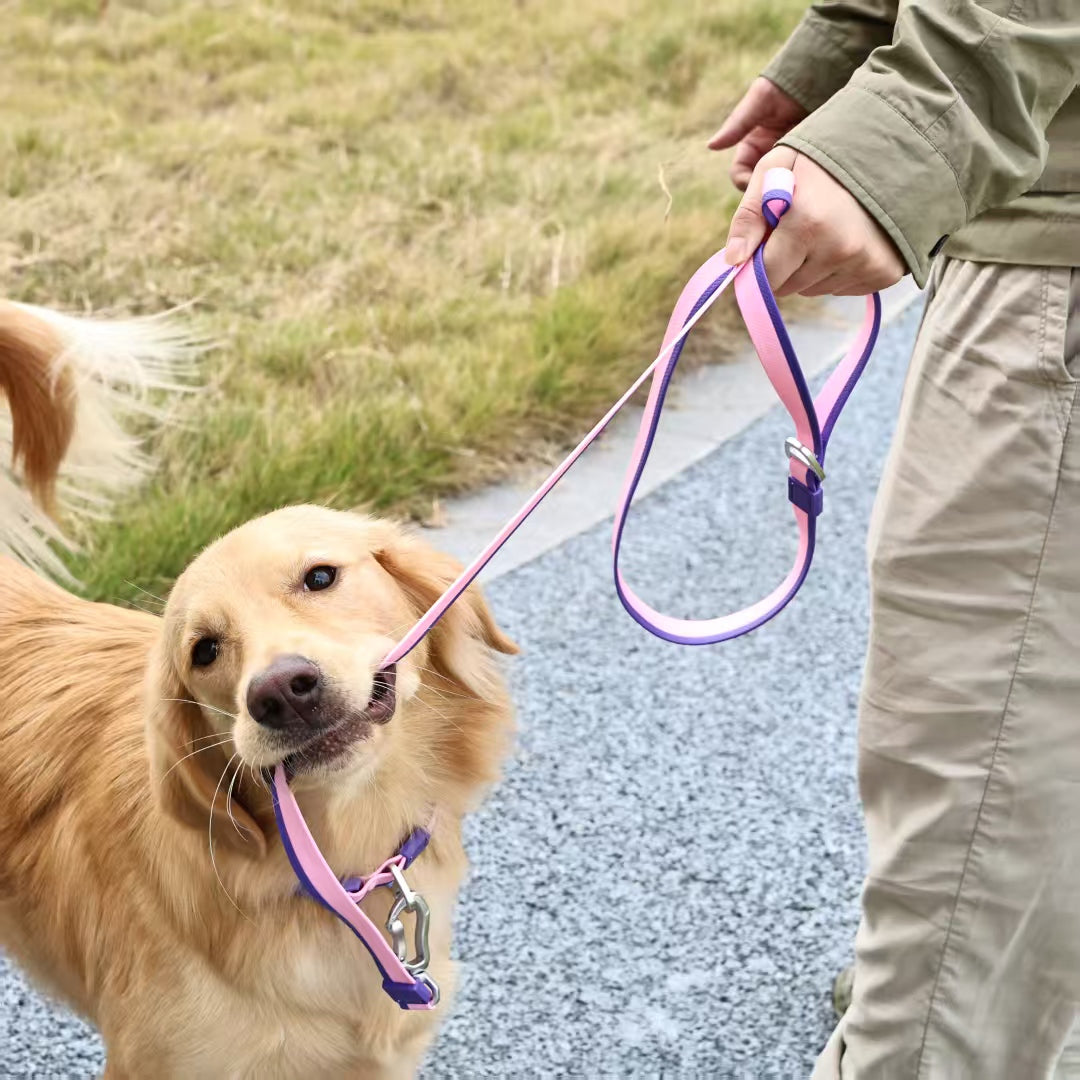 Dual-Color Embossed Pet Leash Set Stylish, Fun & Practical