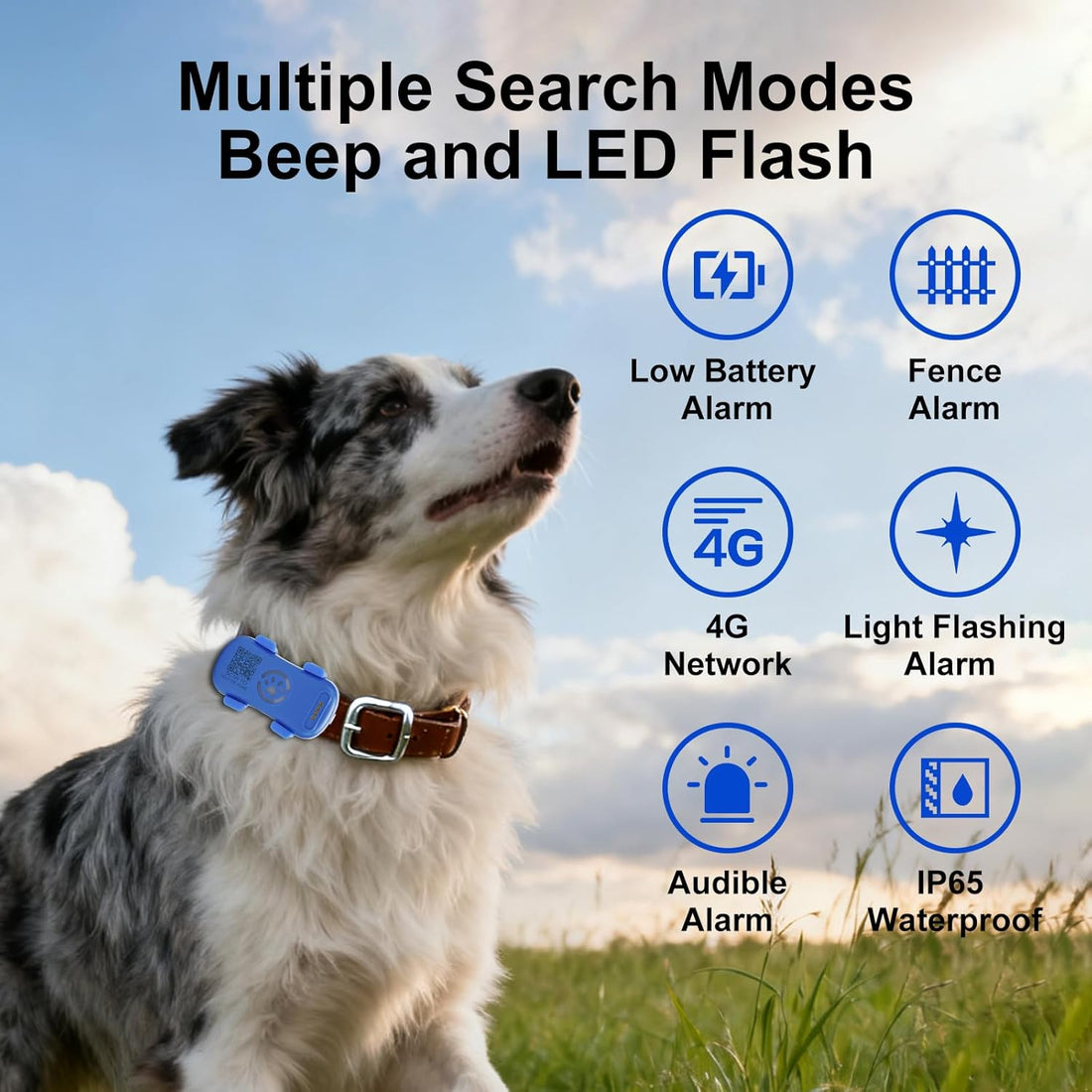 Dog GPS Tracker Real-Time Anti-Lost Tracker with Geofence & Alerts