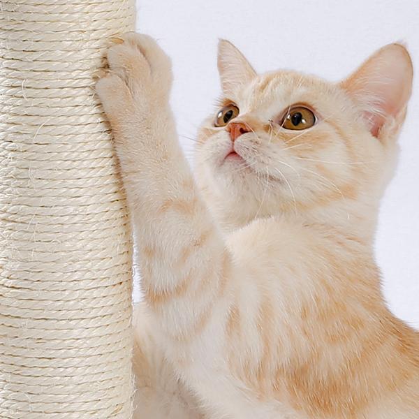 Indoor Cat Scratching Board with Interactive Ball Track Toy
