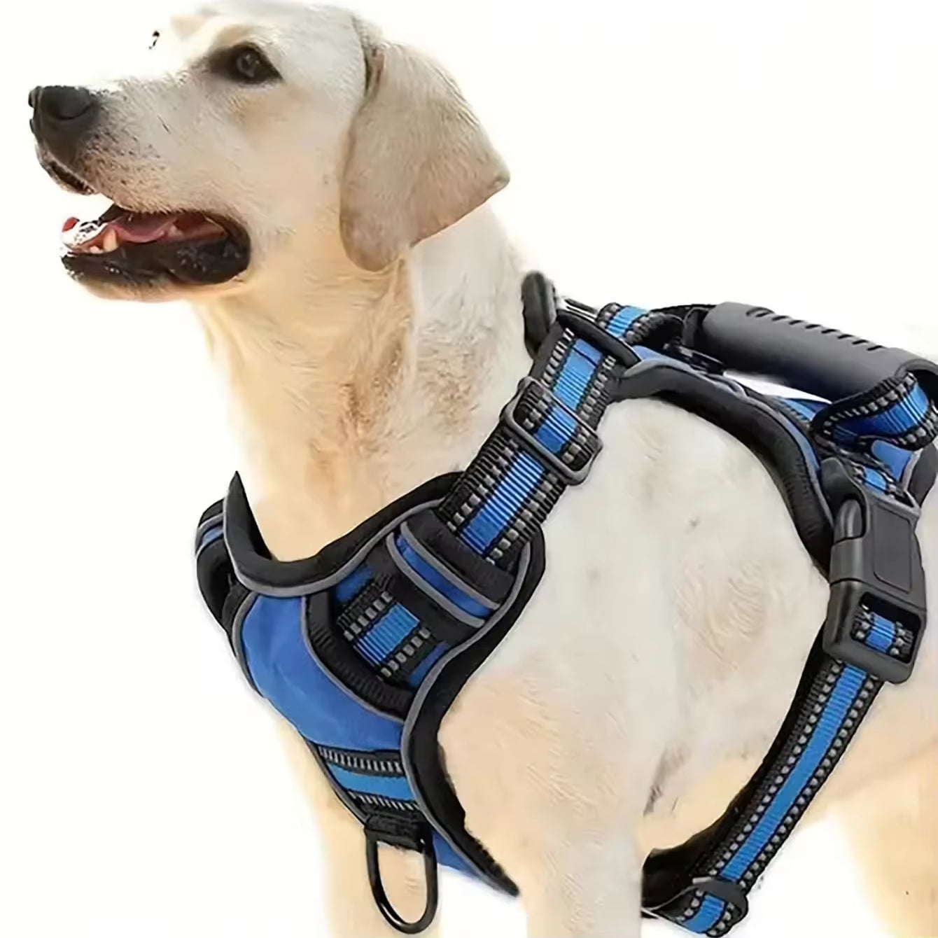 Tactical Service Dog Harness Kit Seat Belt, Collapsible Bowl & Trash Bag