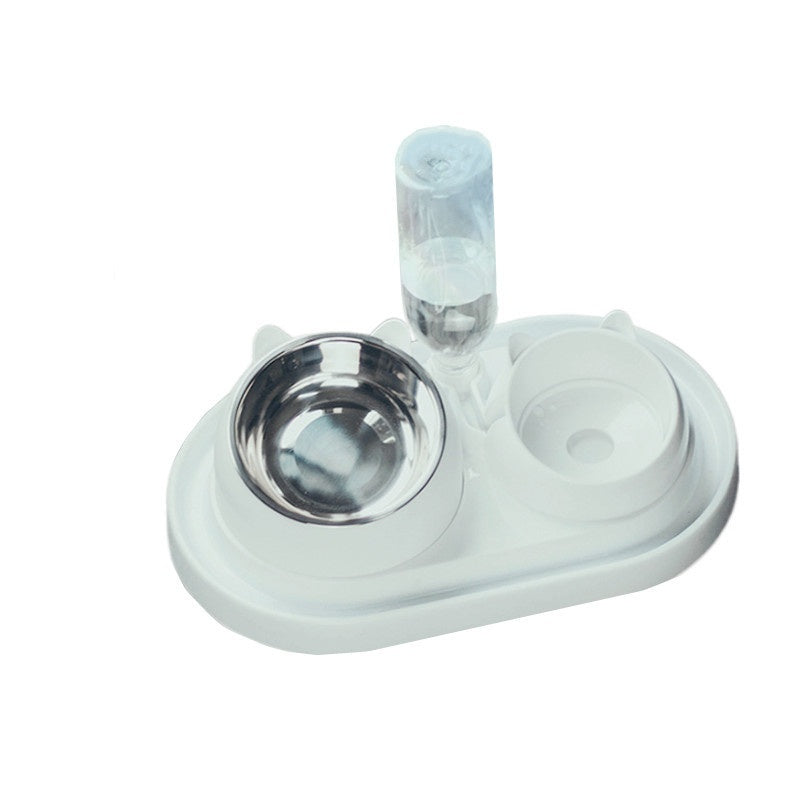 Stainless Steel Double Dog Bowl with Tilted Design for Pets