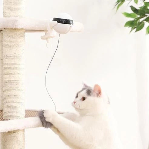 Pet Cat Toy Electronic Motion Cat Toy
