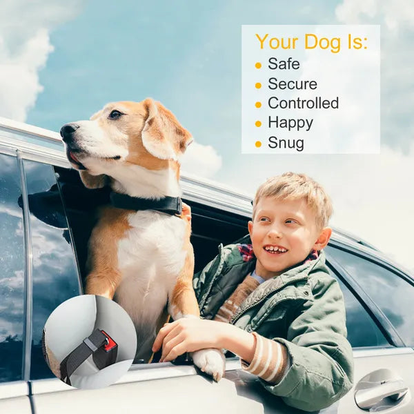 2-Pack Adjustable Pet Dog & Cat Safety Seat Belt Leashes