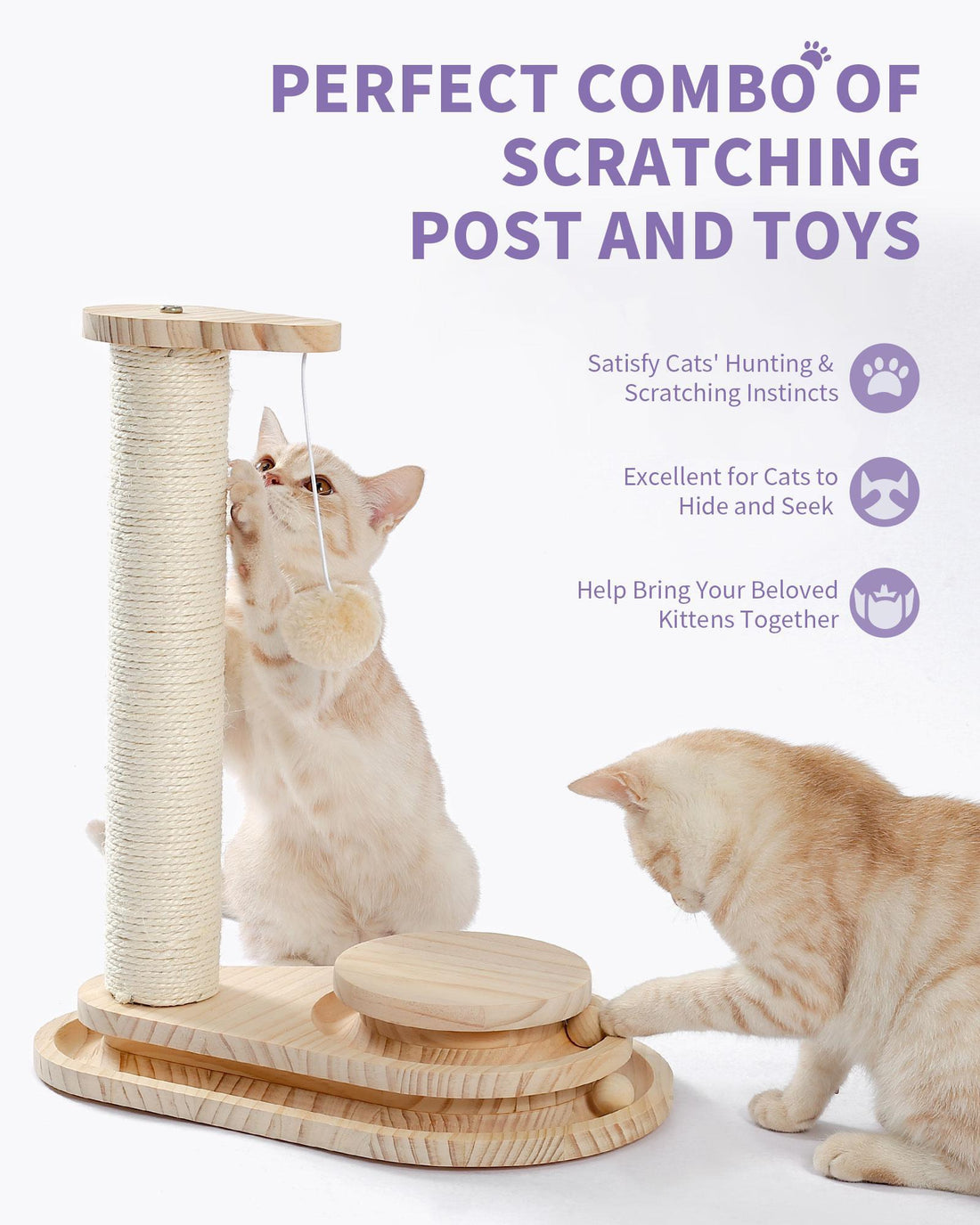 Indoor Cat Scratching Board with Interactive Ball Track Toy