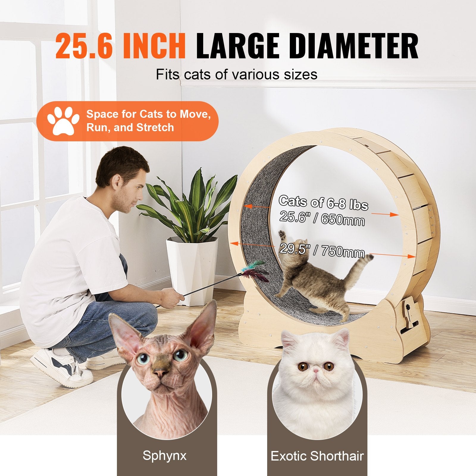 Large 29.5" Cat Exercise Wheel Indoor Treadmill for Cats
