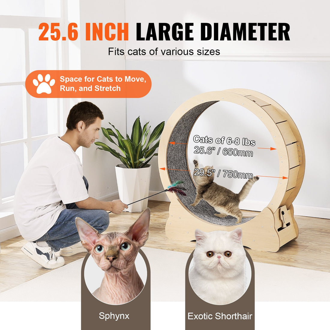 Large 29.5" Cat Exercise Wheel Indoor Treadmill for Cats