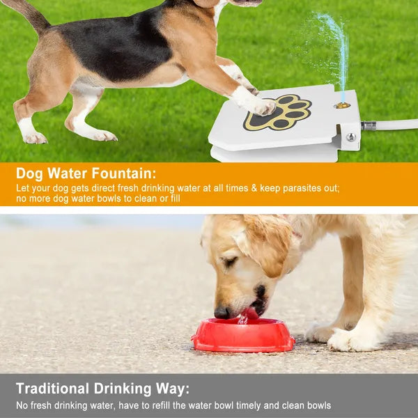 Outdoor Dog Water Fountain Step-On Pet Water Dispenser