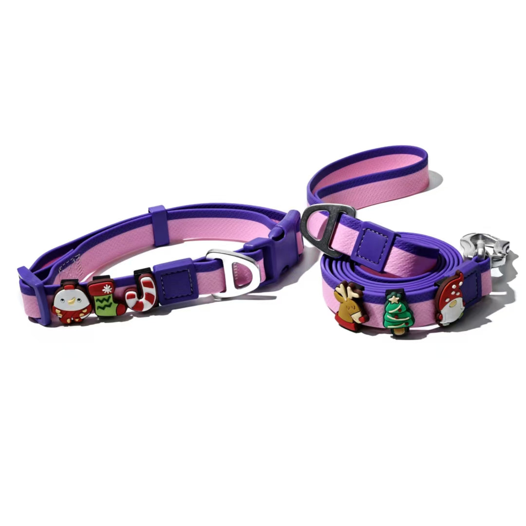 Dual-Color Embossed Pet Leash Set Stylish, Fun & Practical