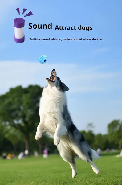 Interactive Squeaky Sound Ball Dog & Cat Toy