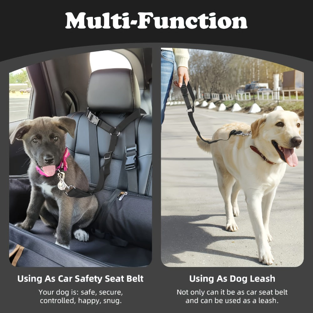 Two-Piece Dog Leash Set Durable, Skin-Friendly Travel Leashes