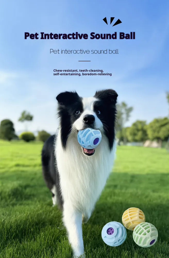 Interactive Squeaky Sound Ball Dog & Cat Toy