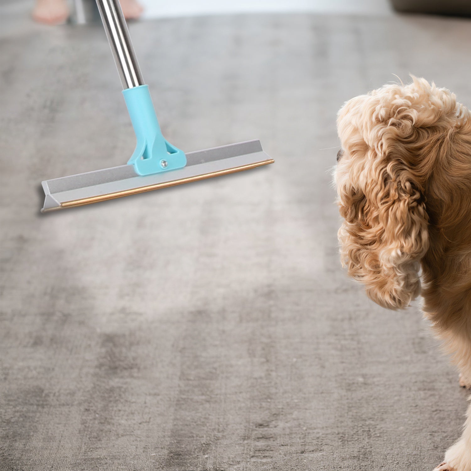 Adjustable Pet Hair Removal Rake Multi-Fabric Scraper for Dogs & Cats