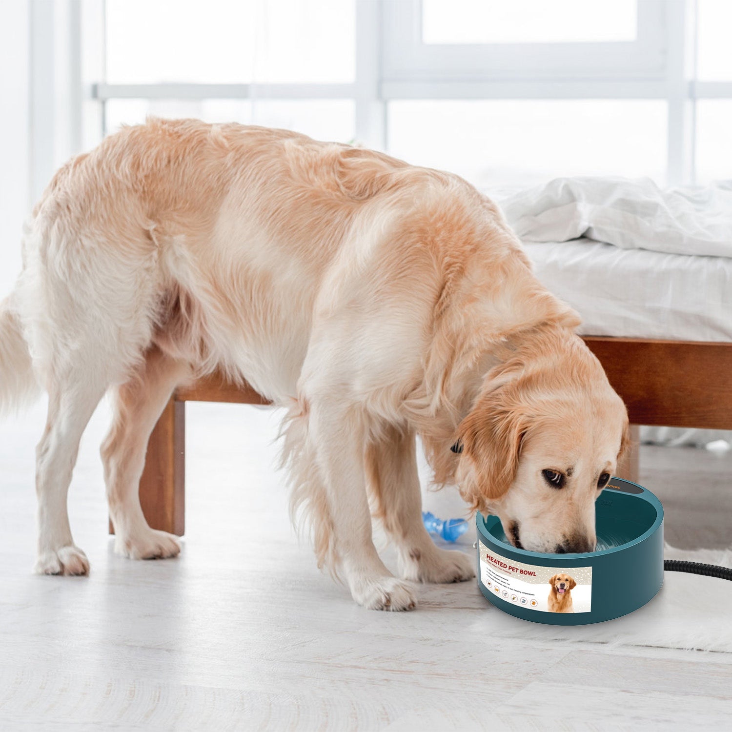 Heated Pet Water Bowl 74.4oz Waterproof Thermal Dog & Cat Feeder