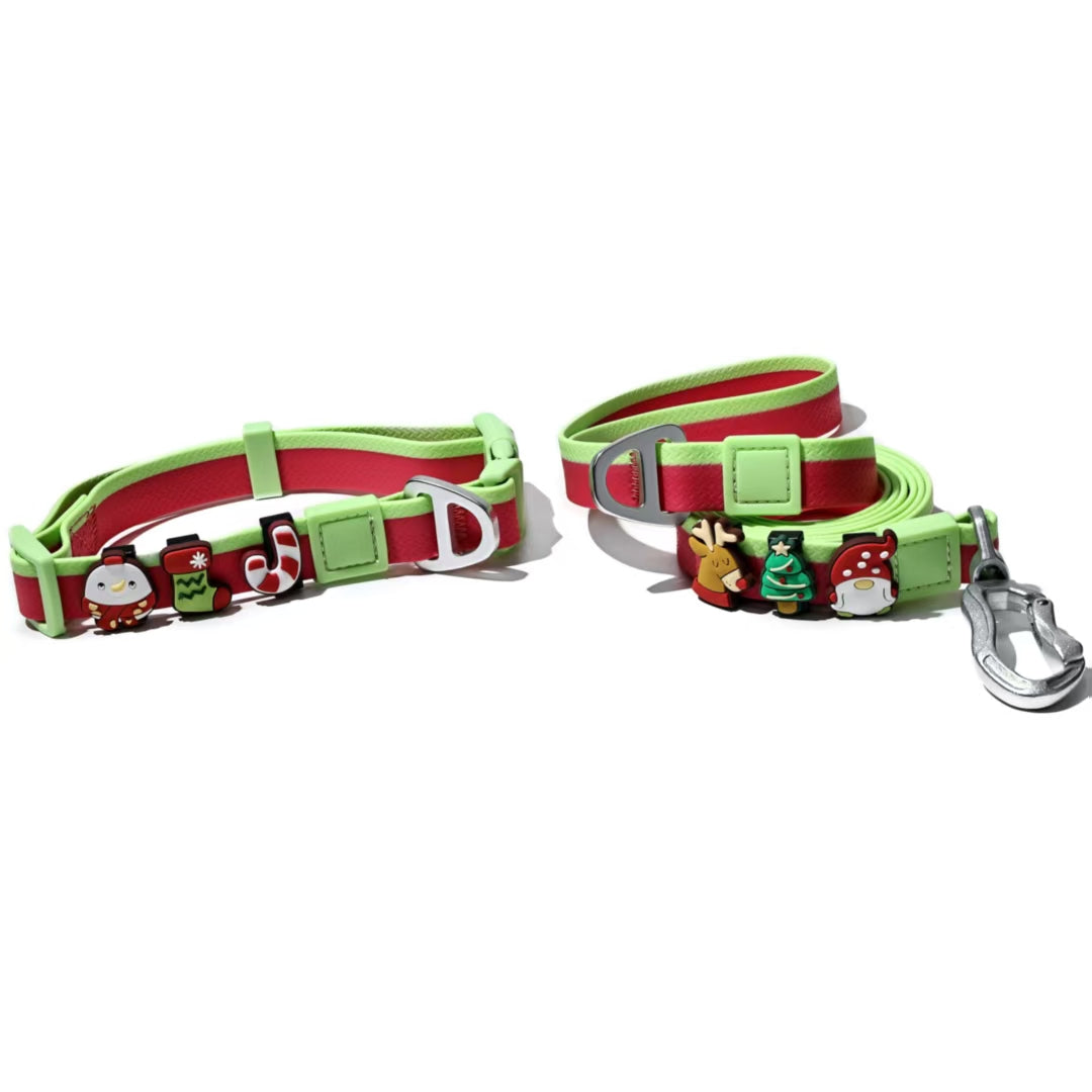 Dual-Color Embossed Pet Leash Set Stylish, Fun & Practical