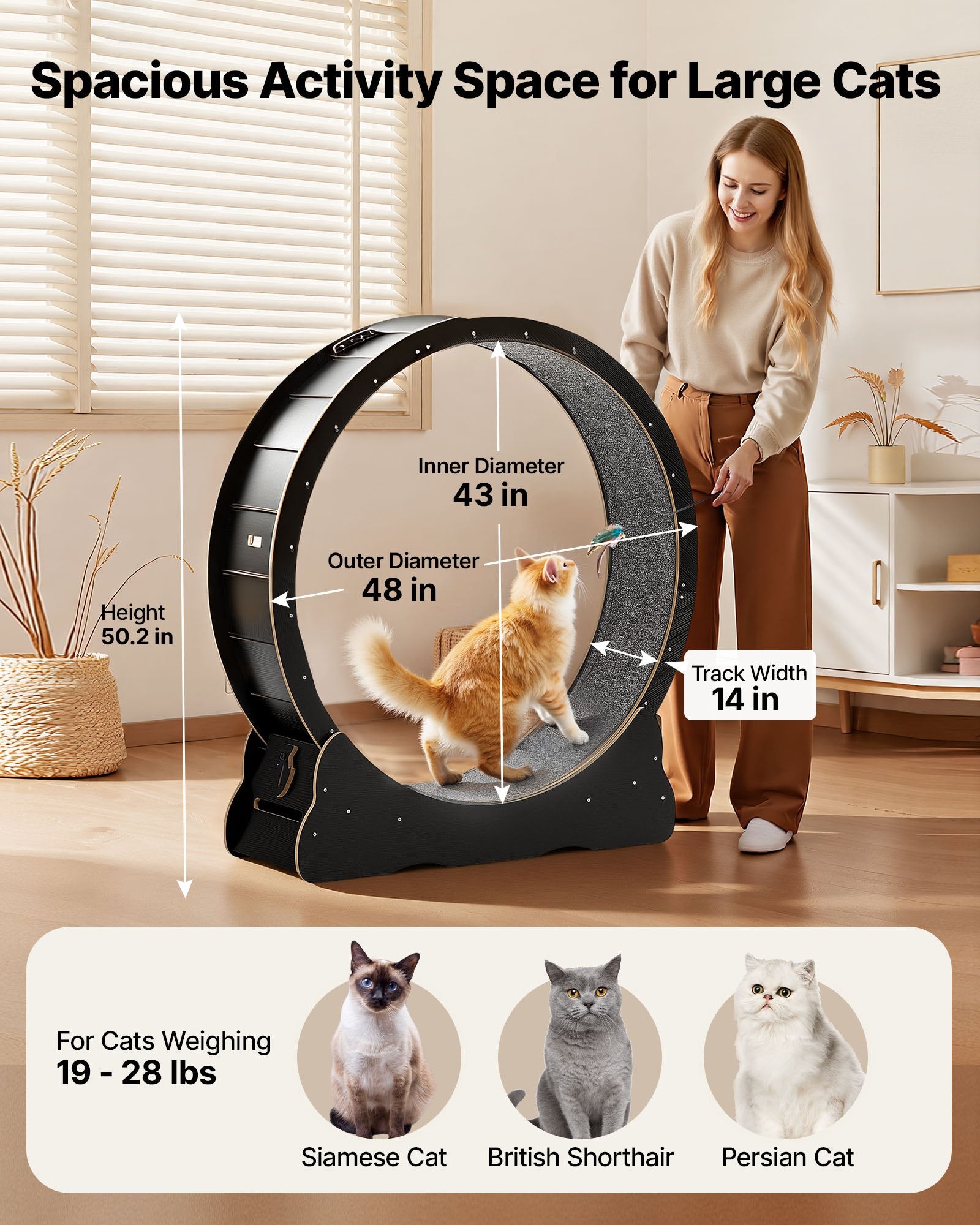 48" Wooden Cat Exercise Wheel Indoor Treadmill for Cats up to 28 lbs