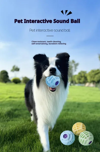Interactive Squeaky Sound Ball Dog & Cat Toy