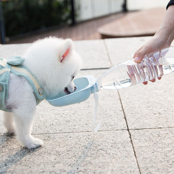 Teddy Portable Drinking Water Bottle